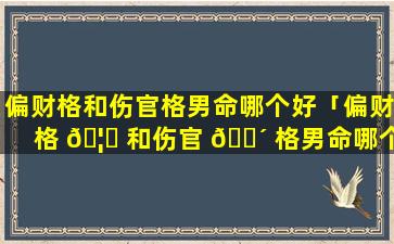 偏财格和伤官格男命哪个好「偏财格 🦄 和伤官 🐴 格男命哪个好一点」